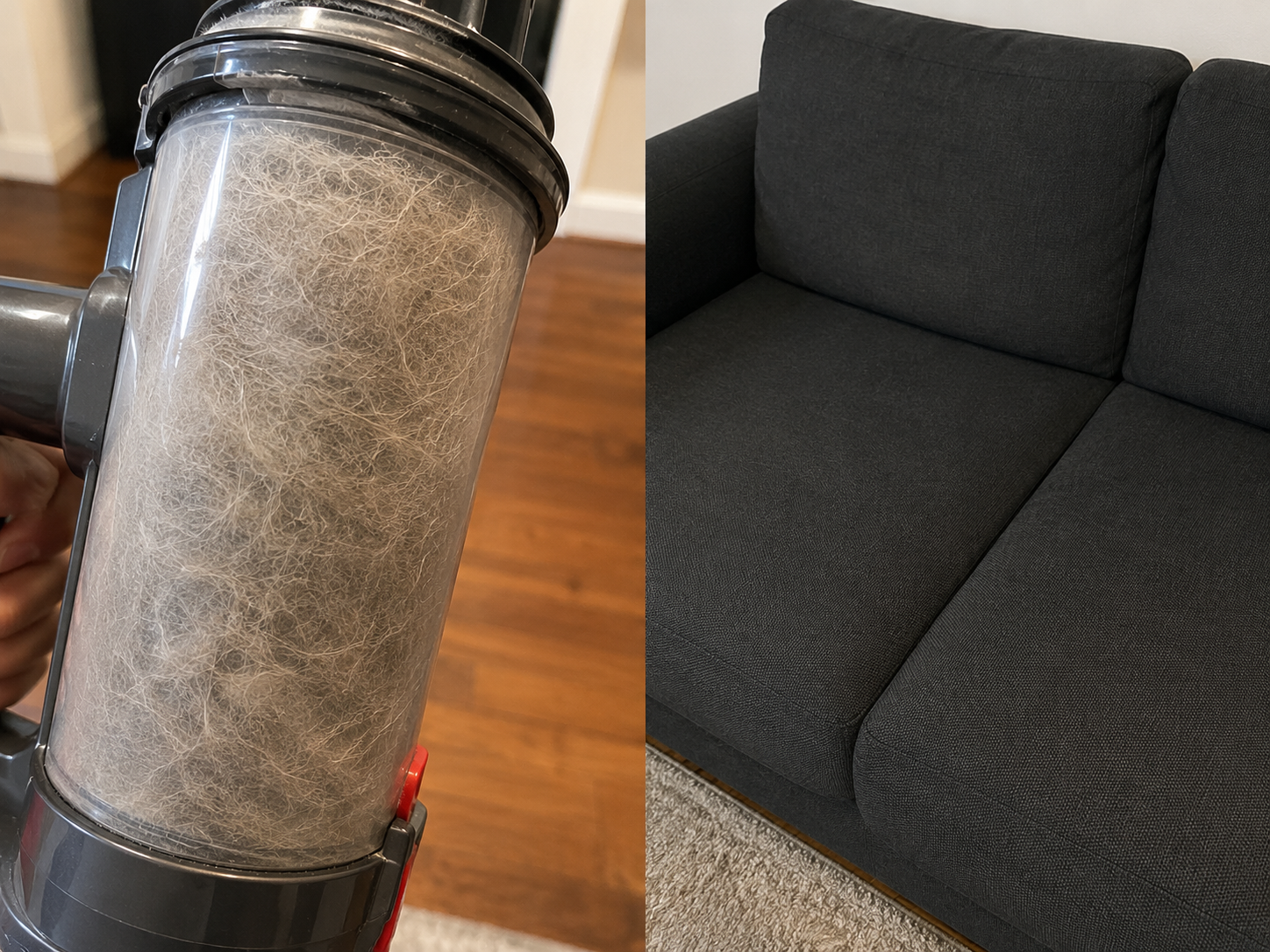 Before and after — a vacuum canister full of fur beside a clean couch