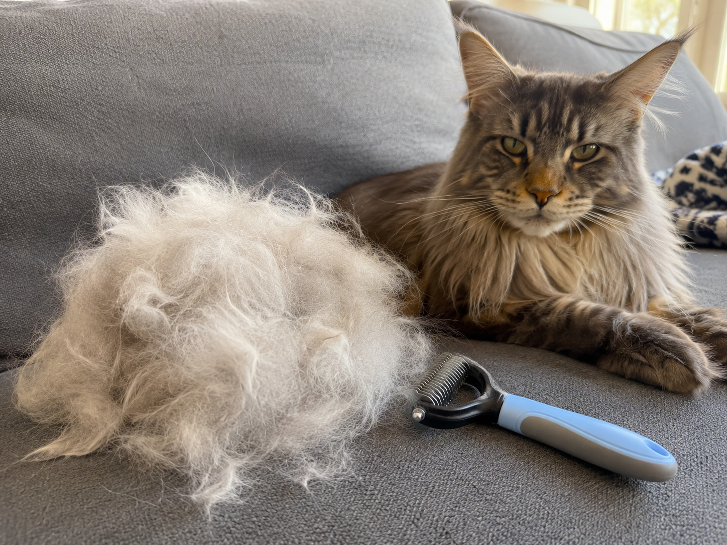 Pile of loose cat undercoat beside the Tidy Tails comb